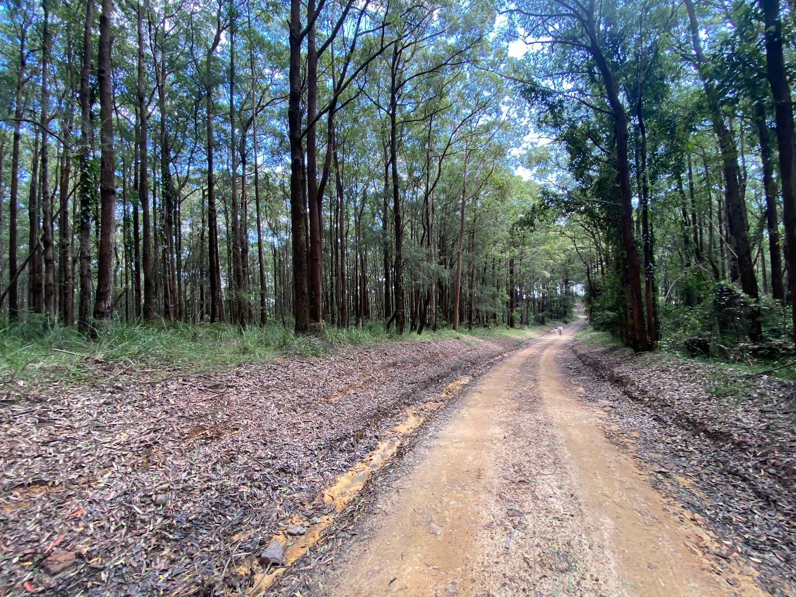 Hunter Lookout — Pokolbin, Newcastle