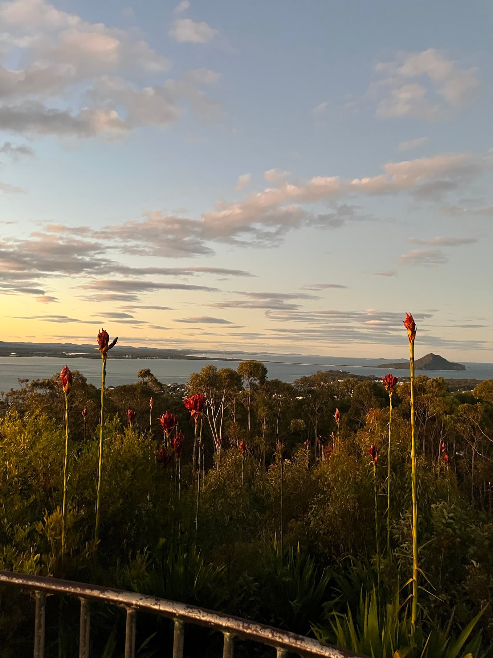 Port Stephens beach walk — Nelson Bay, Newcastle