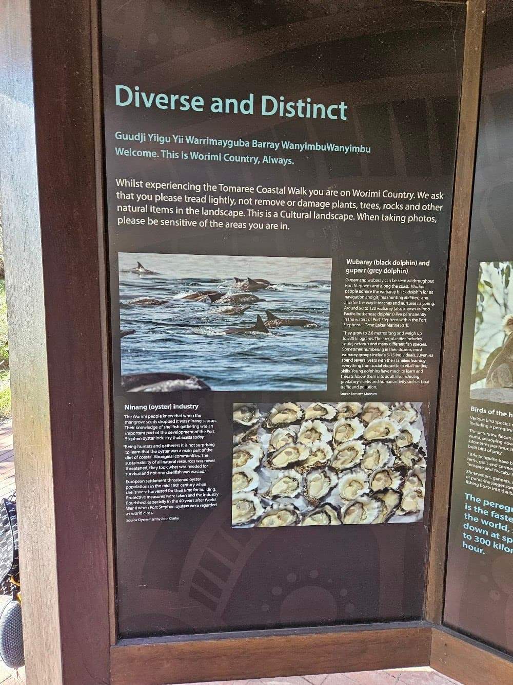Fort Tomaree walk — Nelson Bay, Newcastle
