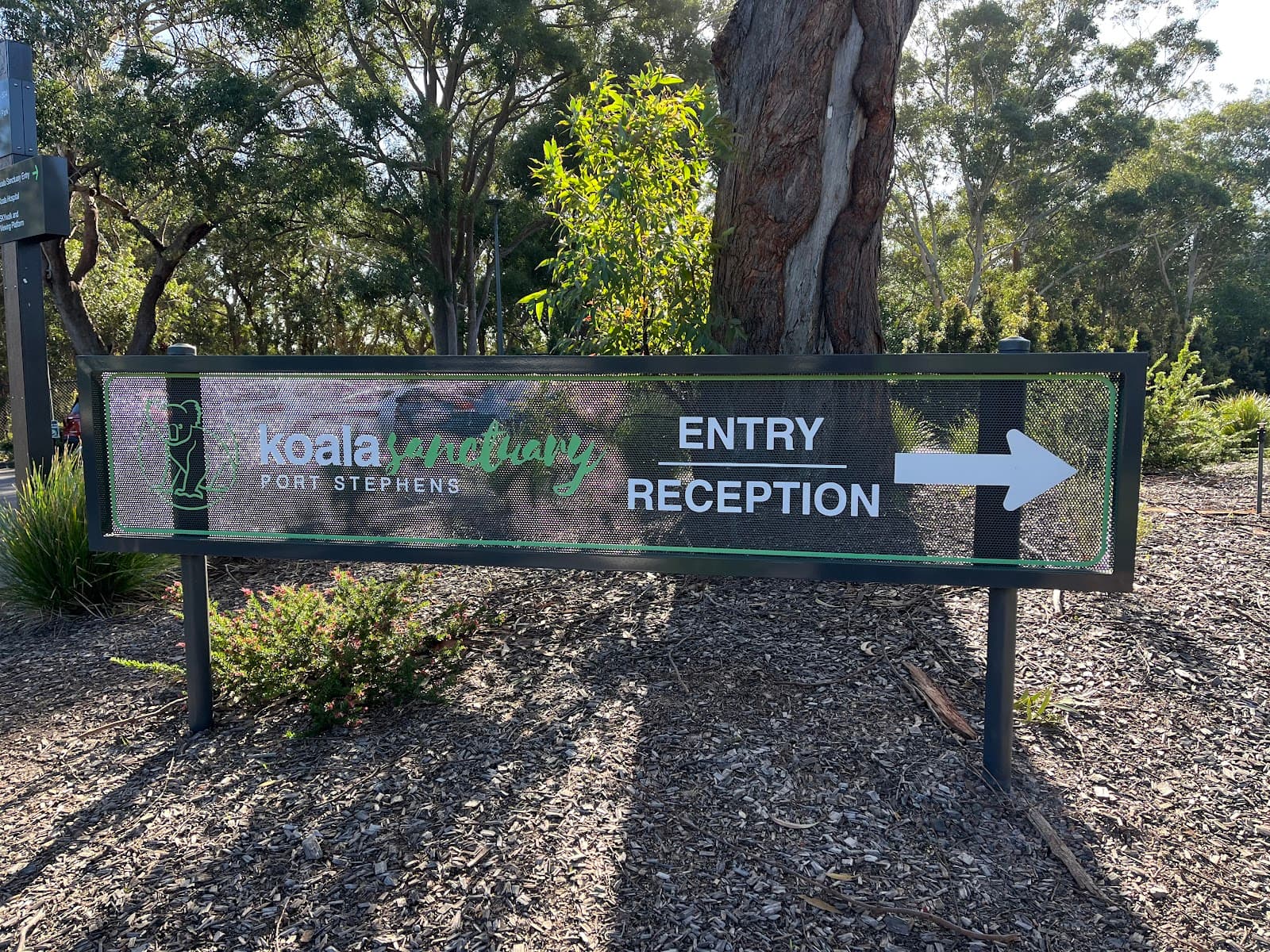 Port Stephens Koala Sanctuary — Nelson Bay, Newcastle