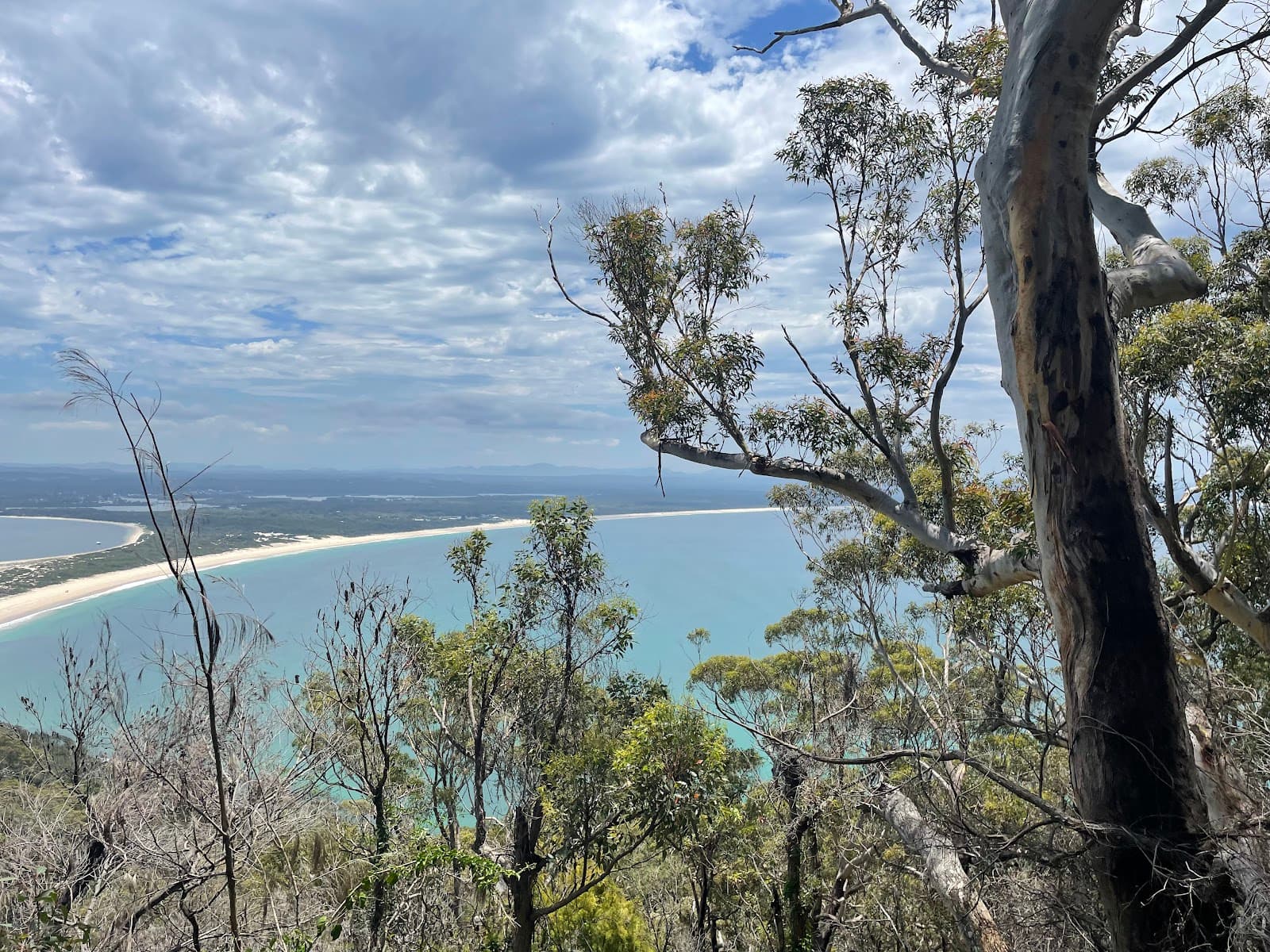 Yacaaba Headland walking track — Nelson Bay, Newcastle