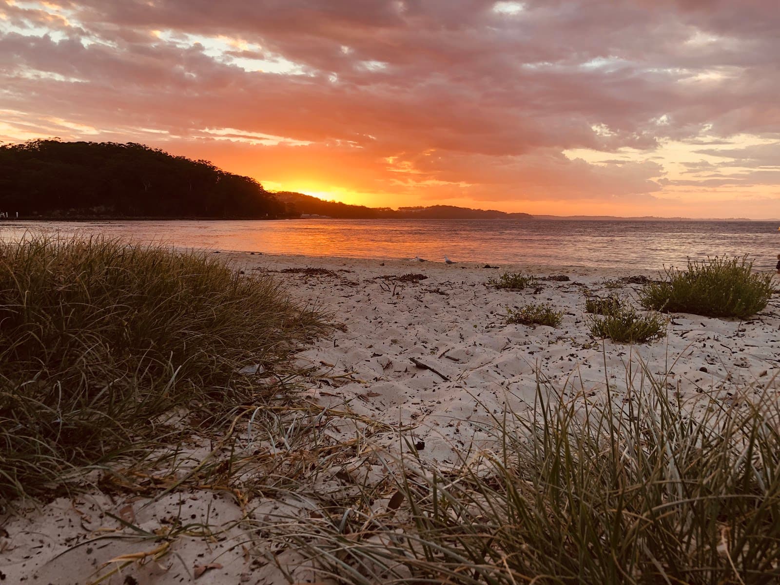 Nelson Bay Lighthouse Reserve — Nelson Bay, Newcastle