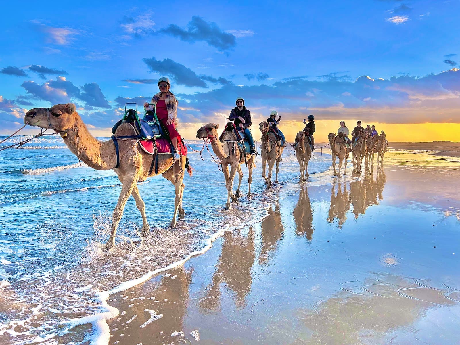 Oakfield Ranch Camel Rides — Nelson Bay, Newcastle