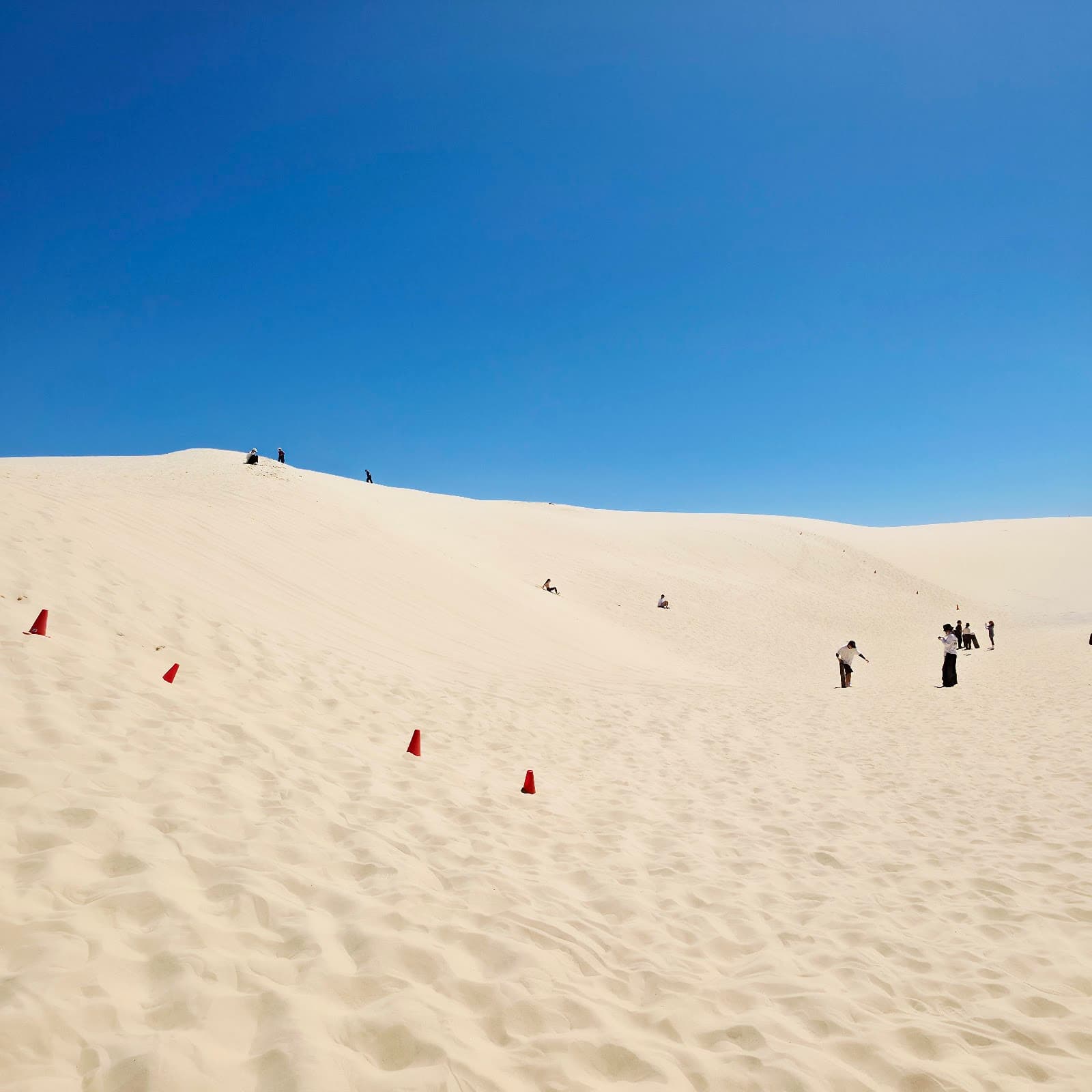 Oakfield Ranch Camel Rides — Nelson Bay, Newcastle