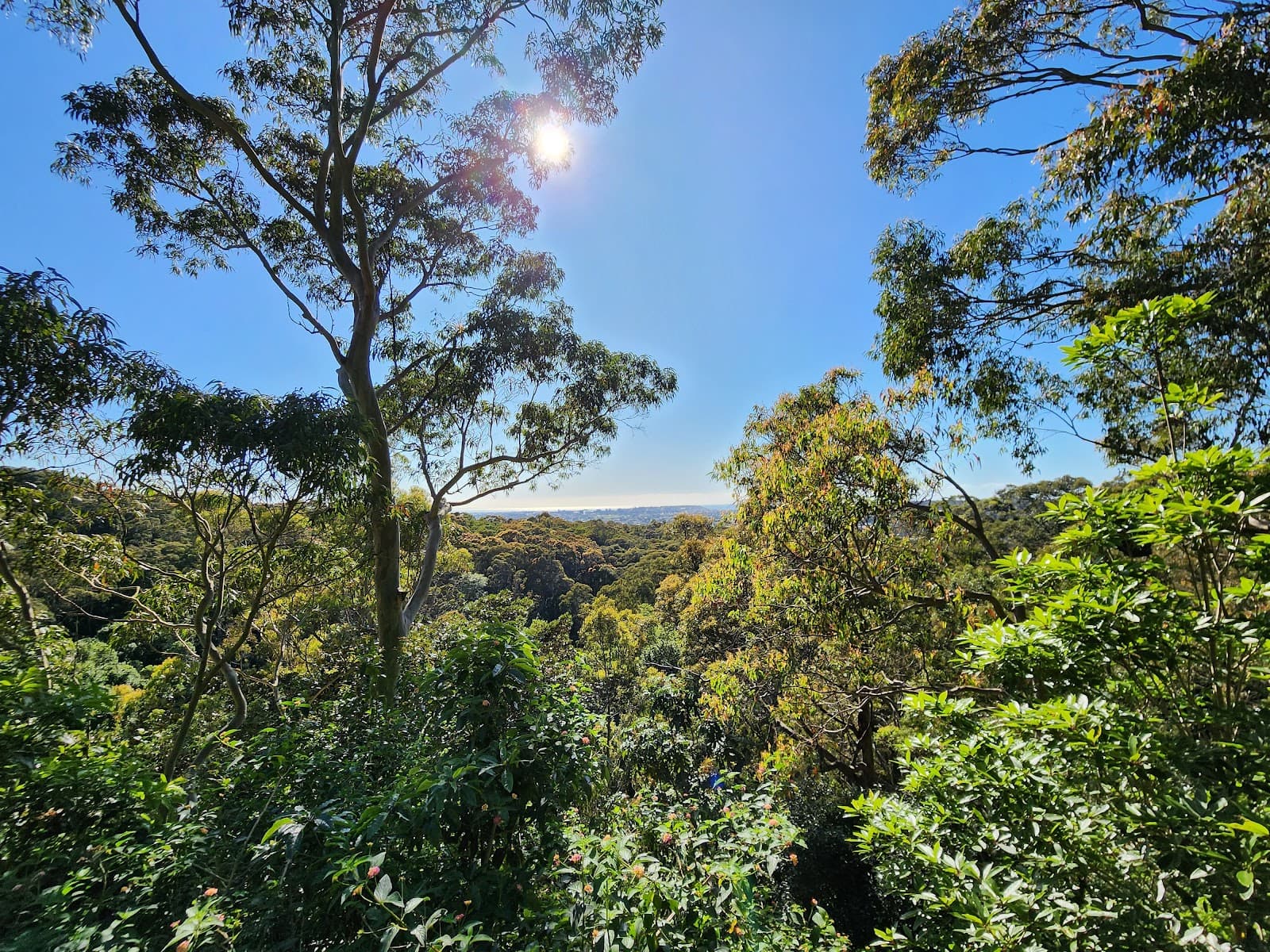 New Lambton Heights Lookout — The Junction, Newcastle