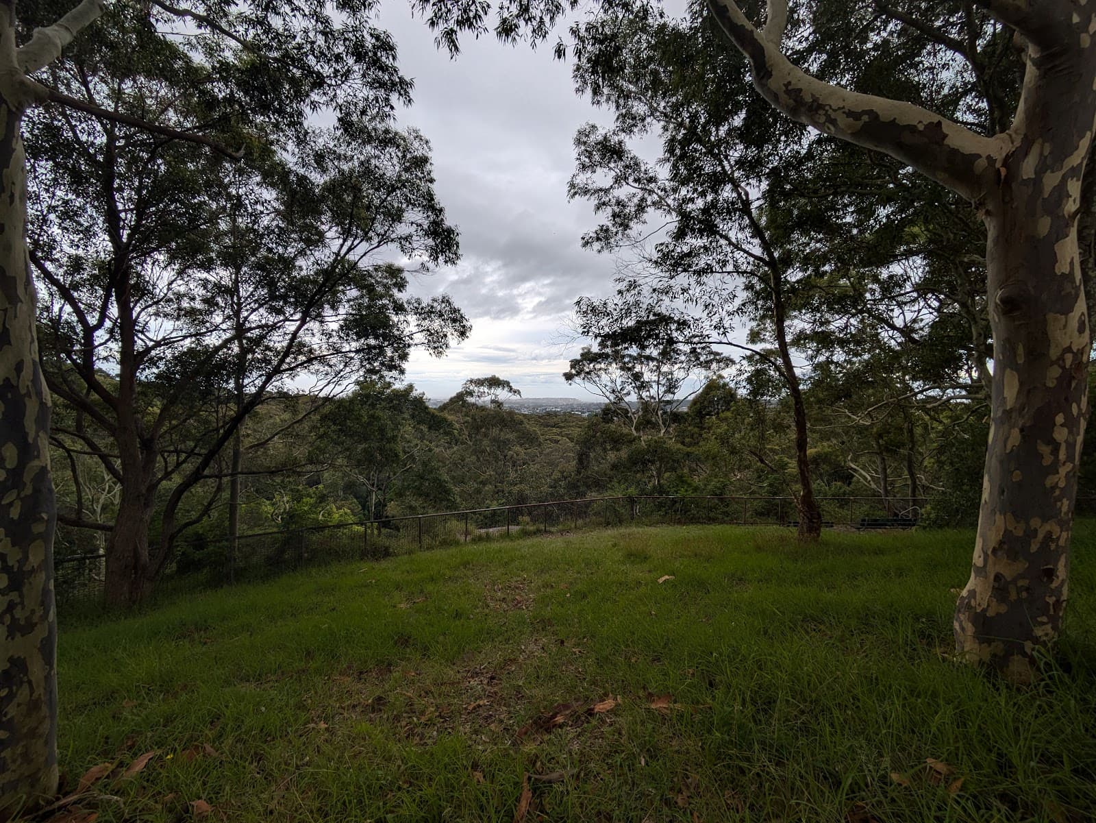 New Lambton Heights Lookout — New Lambton Heights, Newcastle
