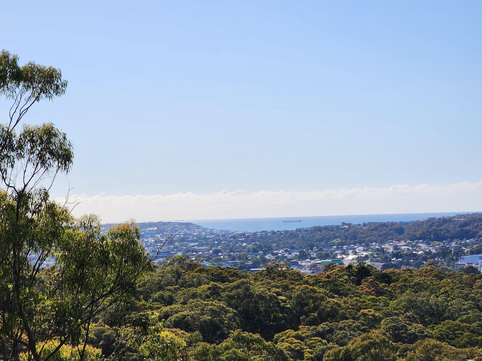 New Lambton Heights Lookout — New Lambton Heights, Newcastle