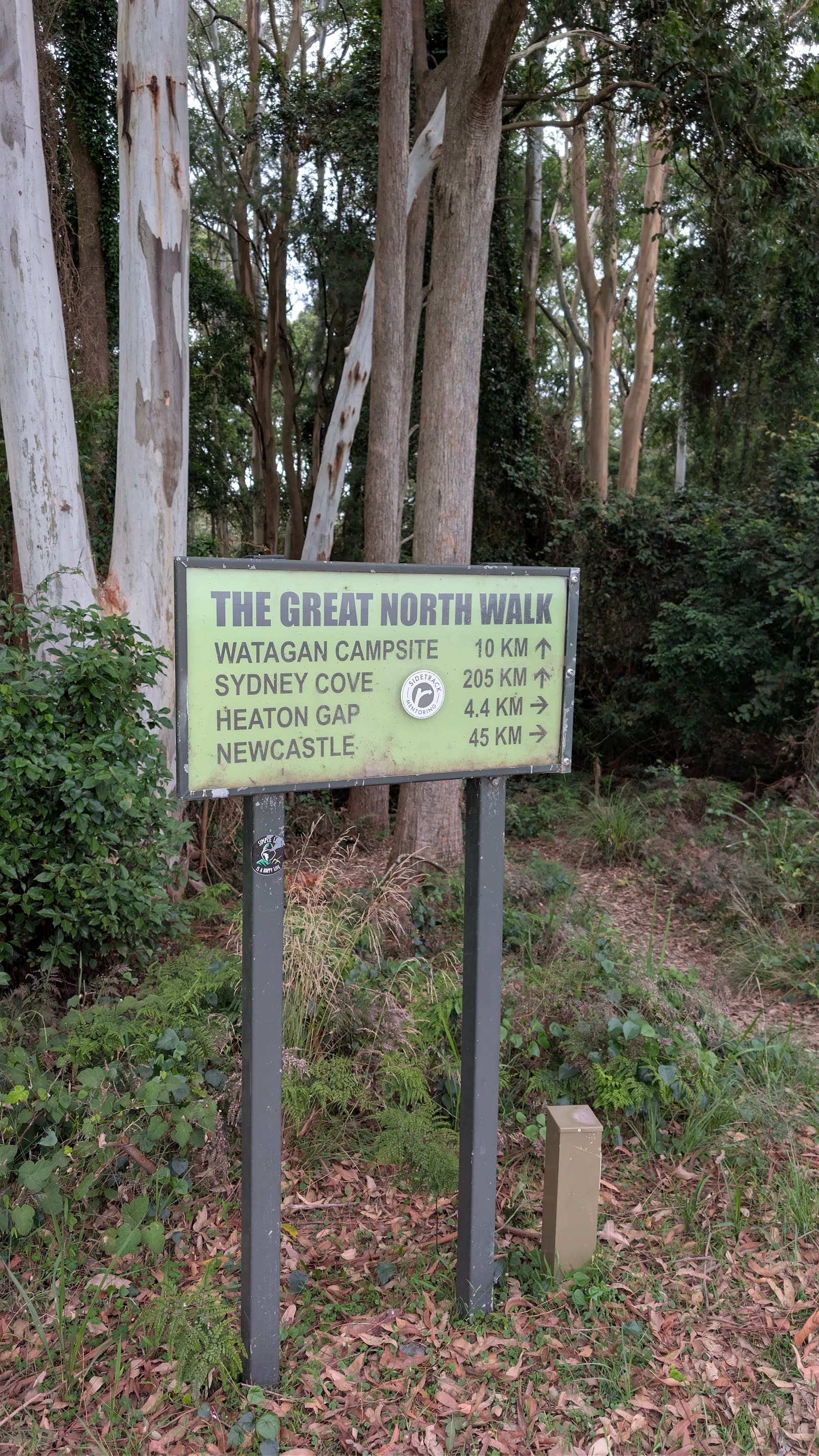 Heaton lookout — Honeysuckle, Newcastle