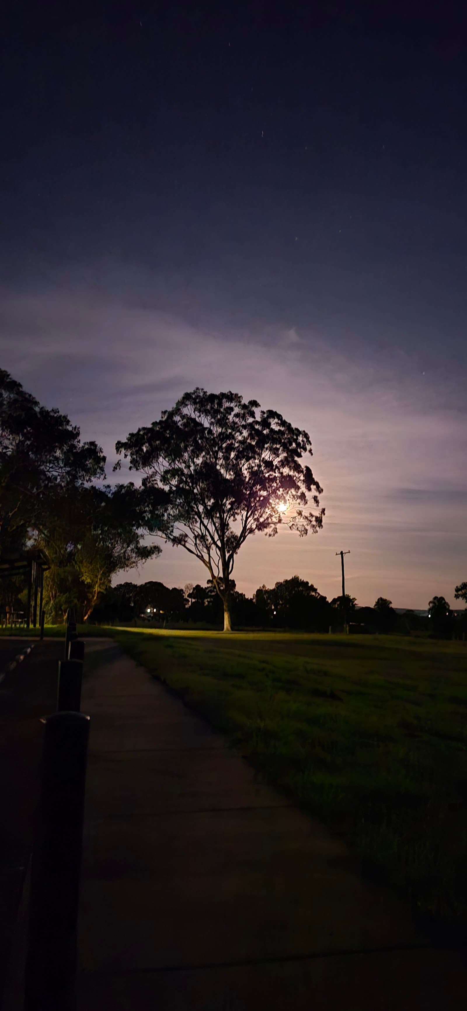 Bolwarra Heights Lookout — Bolwarra Heights, Newcastle