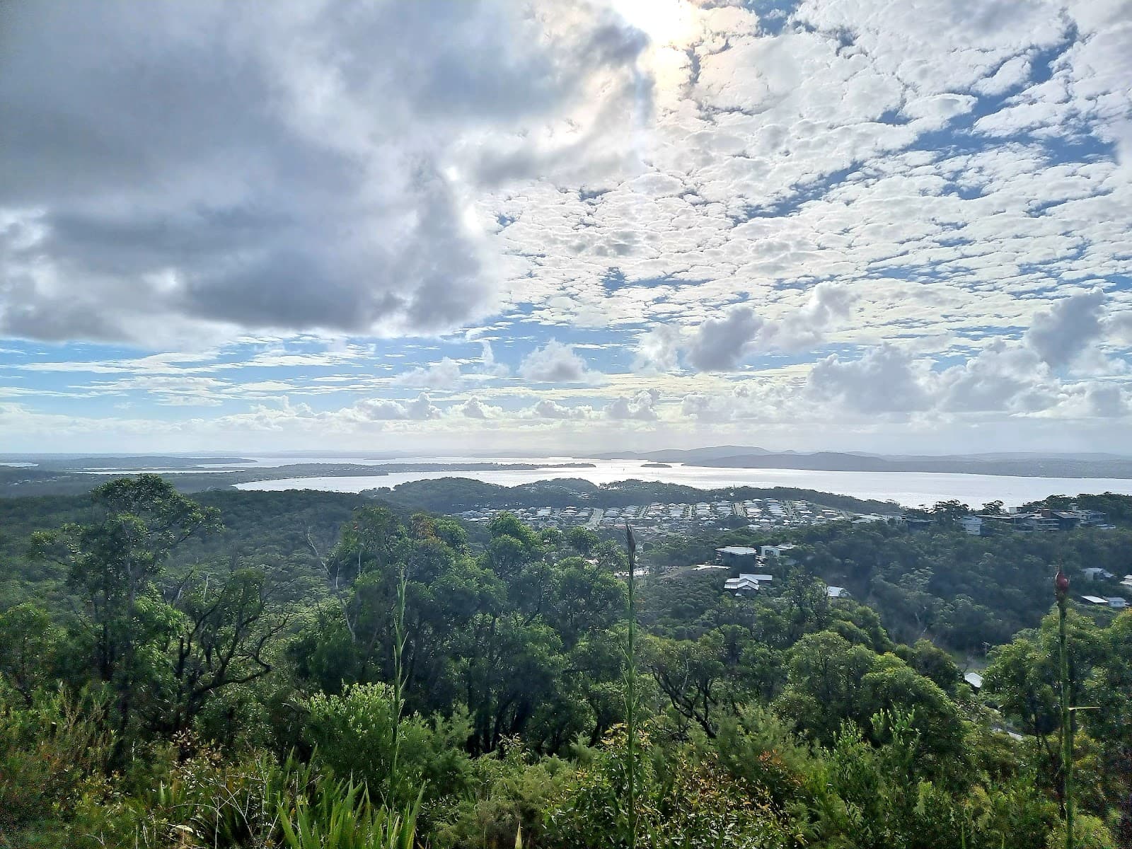 Lily Hill Lookout — Nelson Bay, Newcastle