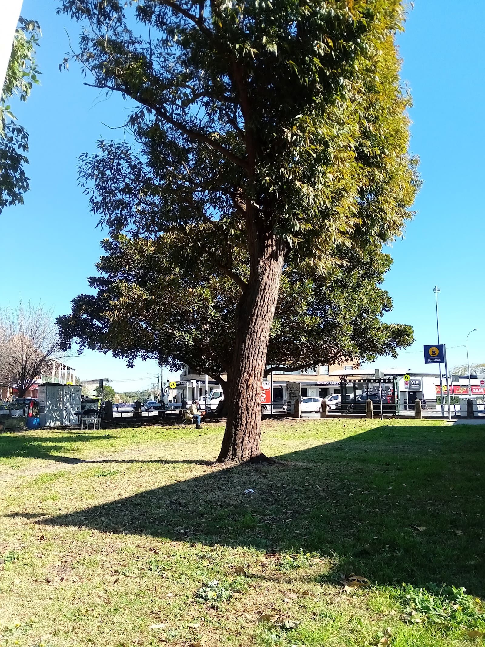 Gallipoli House — Hamilton, Newcastle