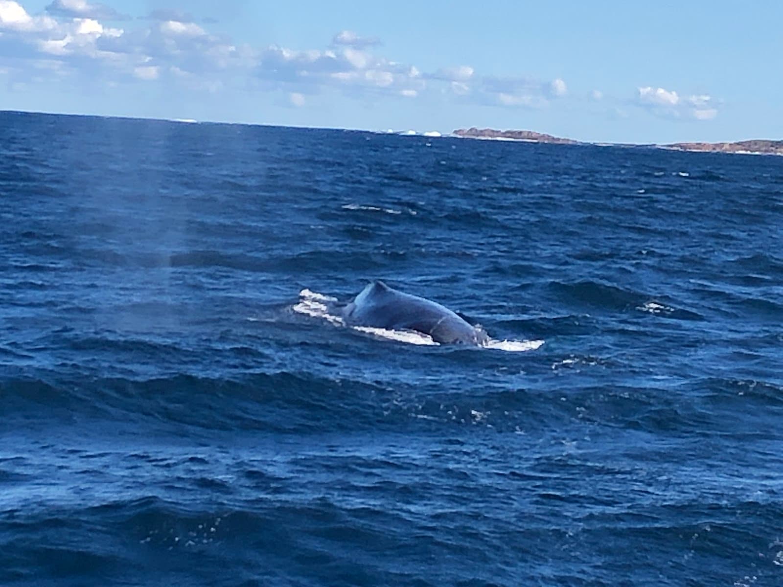 Moonshadow-TQC Cruises — Nelson Bay, Newcastle