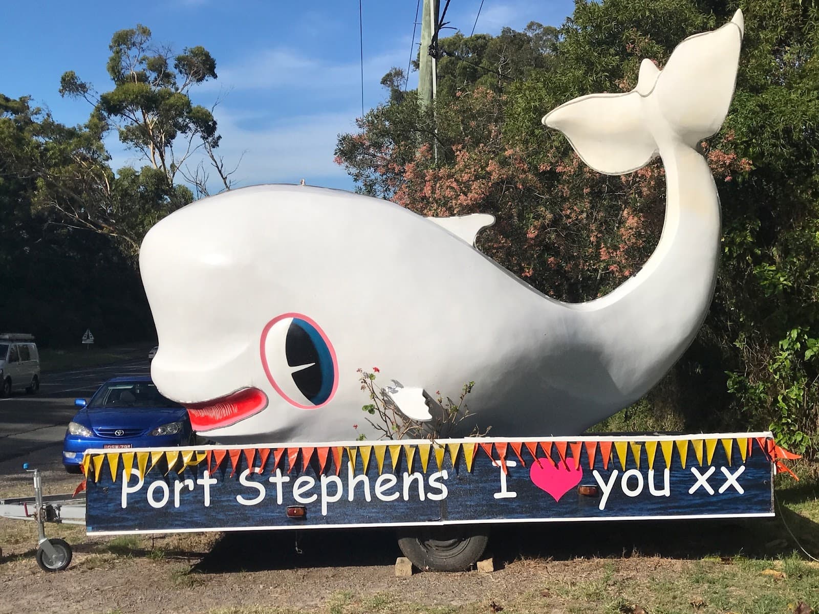 Shoal Bay Whale — Nelson Bay, Newcastle