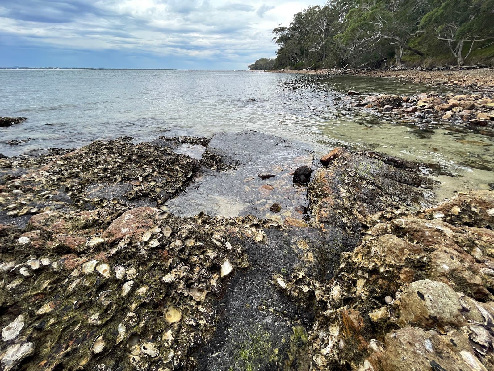 Fly Point Dive Site — Nelson Bay, Newcastle