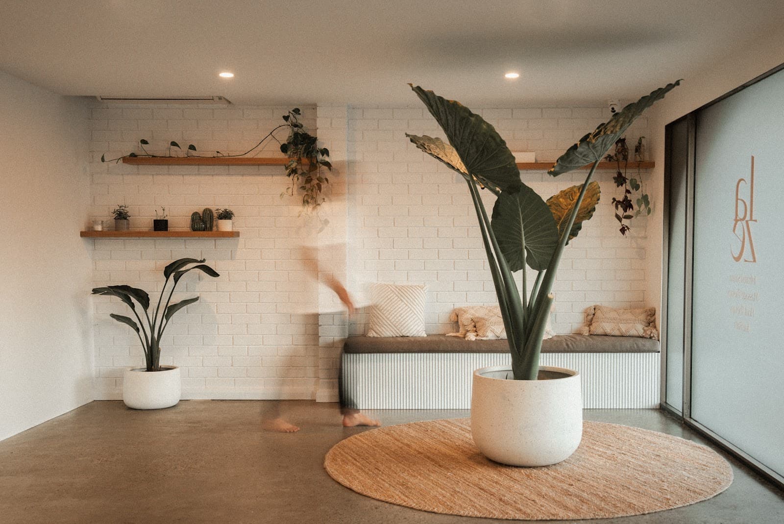 Laze Wellness Collective — Nelson Bay, Newcastle