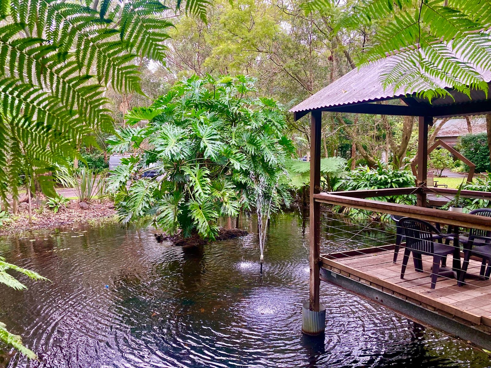 Wellness Centre Port Stephens — Nelson Bay, Newcastle