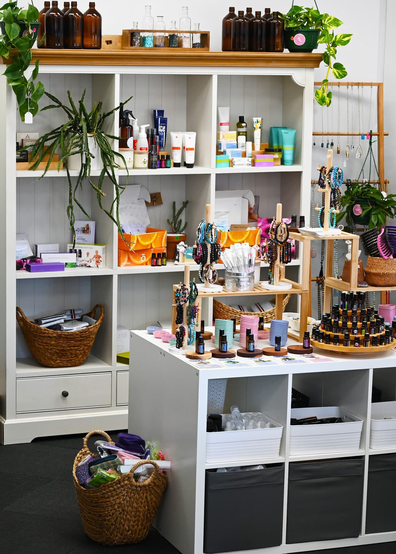 sante Newcastle — Hamilton, Newcastle