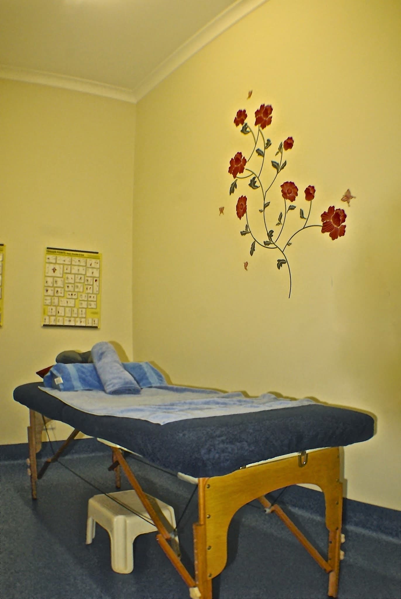 Maitland Wellness Centre — Maitland, Newcastle