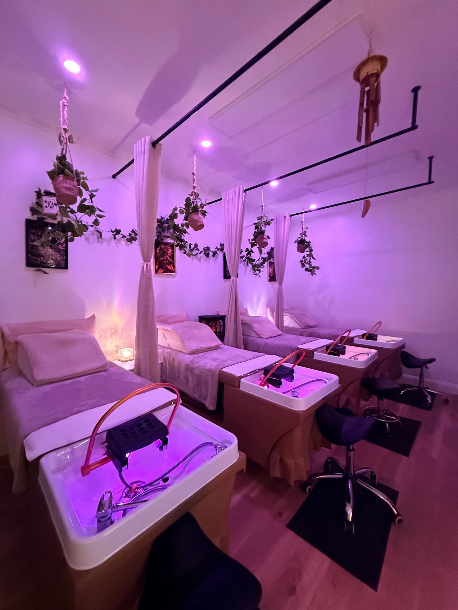 Gorgeous Newcastle | Japanese Head Spa | Massage | Eyelash Extensions | Beauty Salon — Honeysuckle, Newcastle