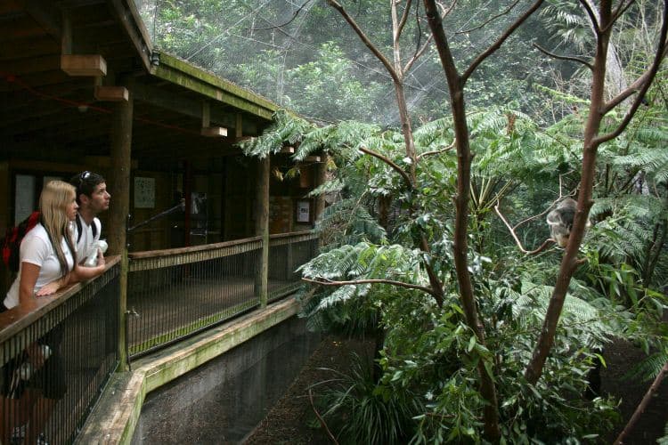 Blackbutt Nature Reserve