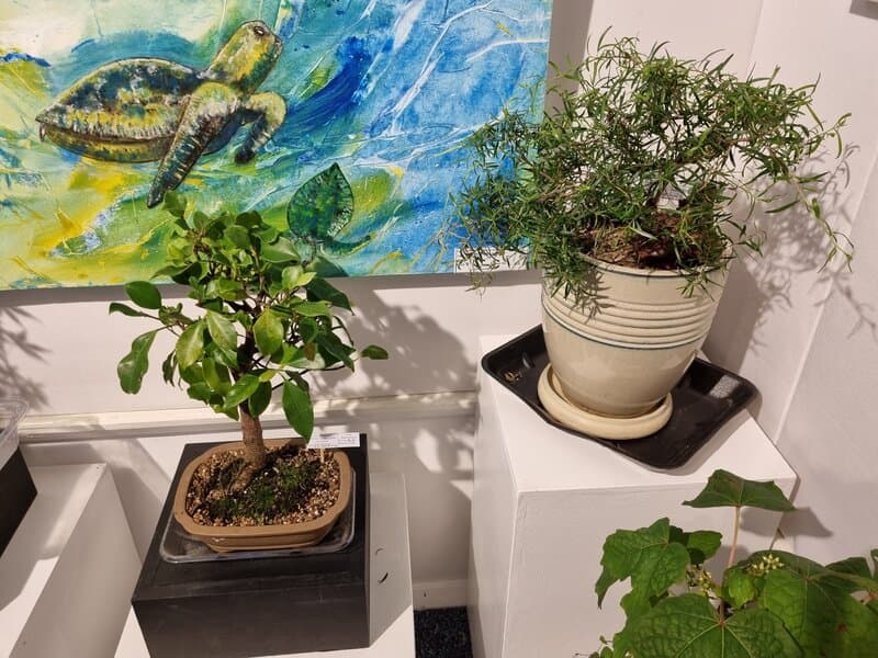 Port Stephens Community Arts Centre