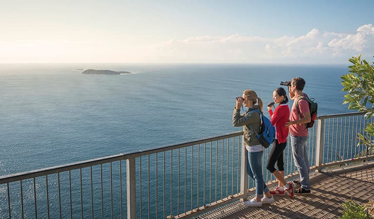 Tomaree Head Summit walk