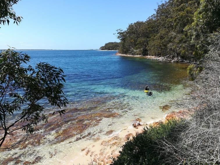 Fly Point Aquatic Reserve