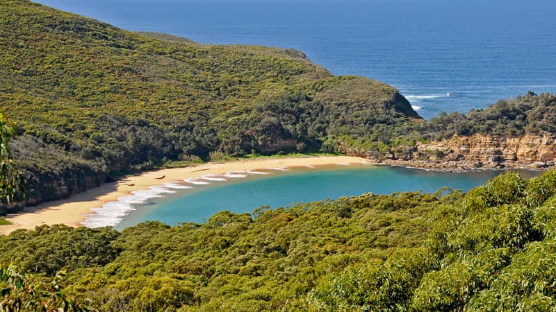 Maitland Bay Beach, Bouddi National Park NSW