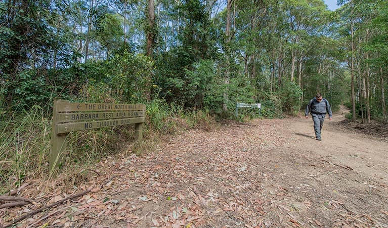 Watagans National Park