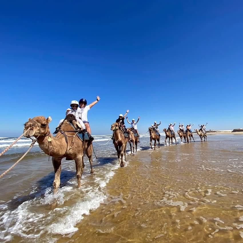 Oakfield Ranch Camel Rides