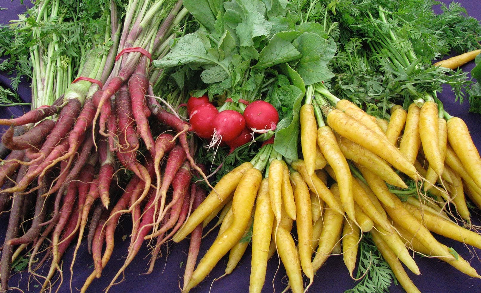 Newcastle City Farmers Market