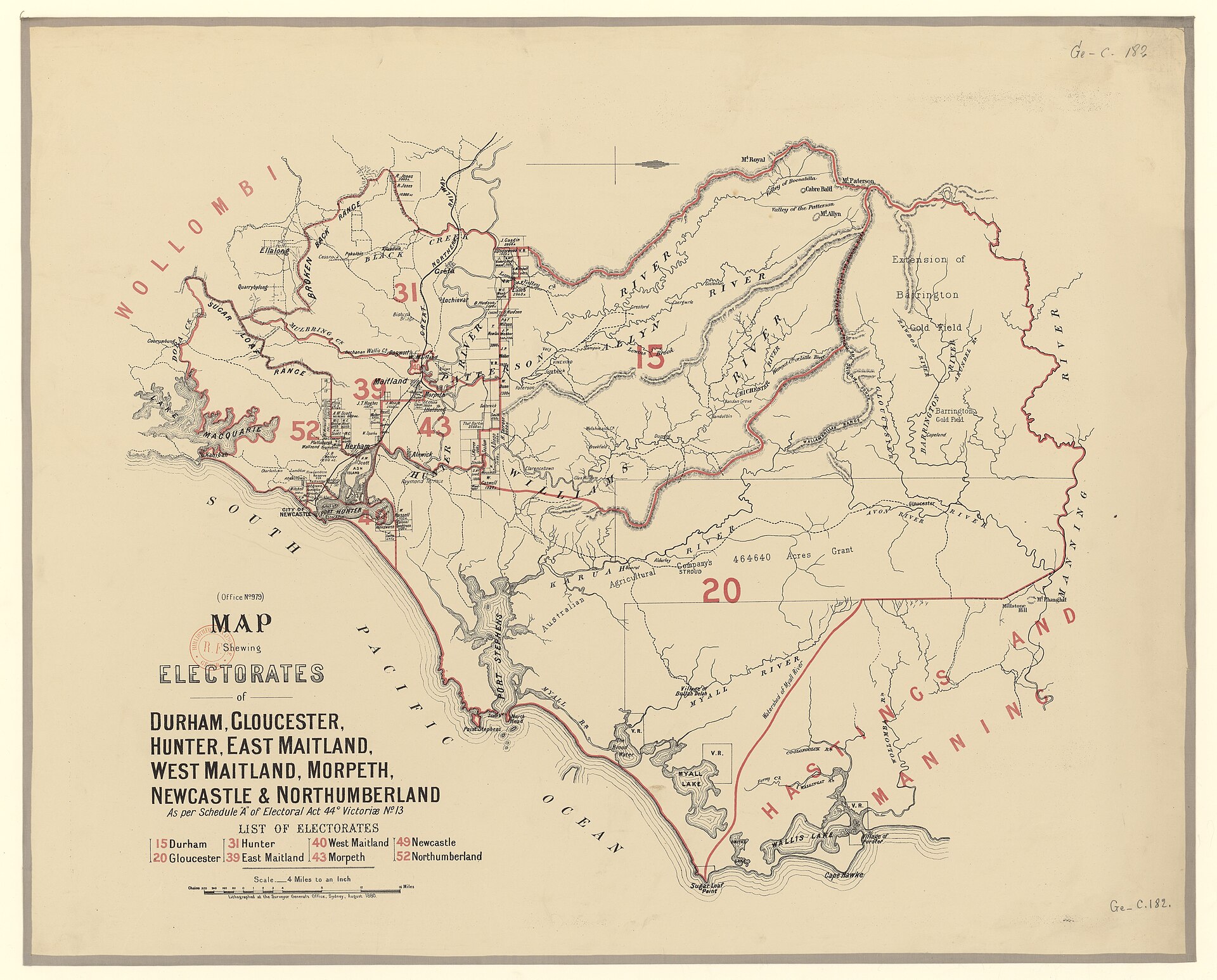 Maitland